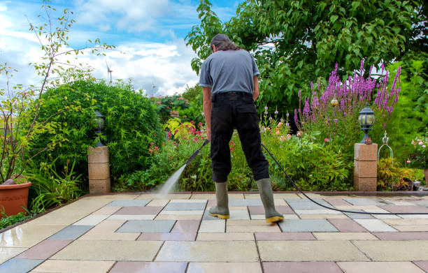 Trusted Holtsville, NY Pressure Washing Services Experts